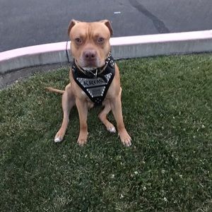 Meet your Posher, Vincent